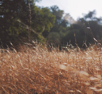 欧冠淘汰赛实时回顾，热门出局引热议